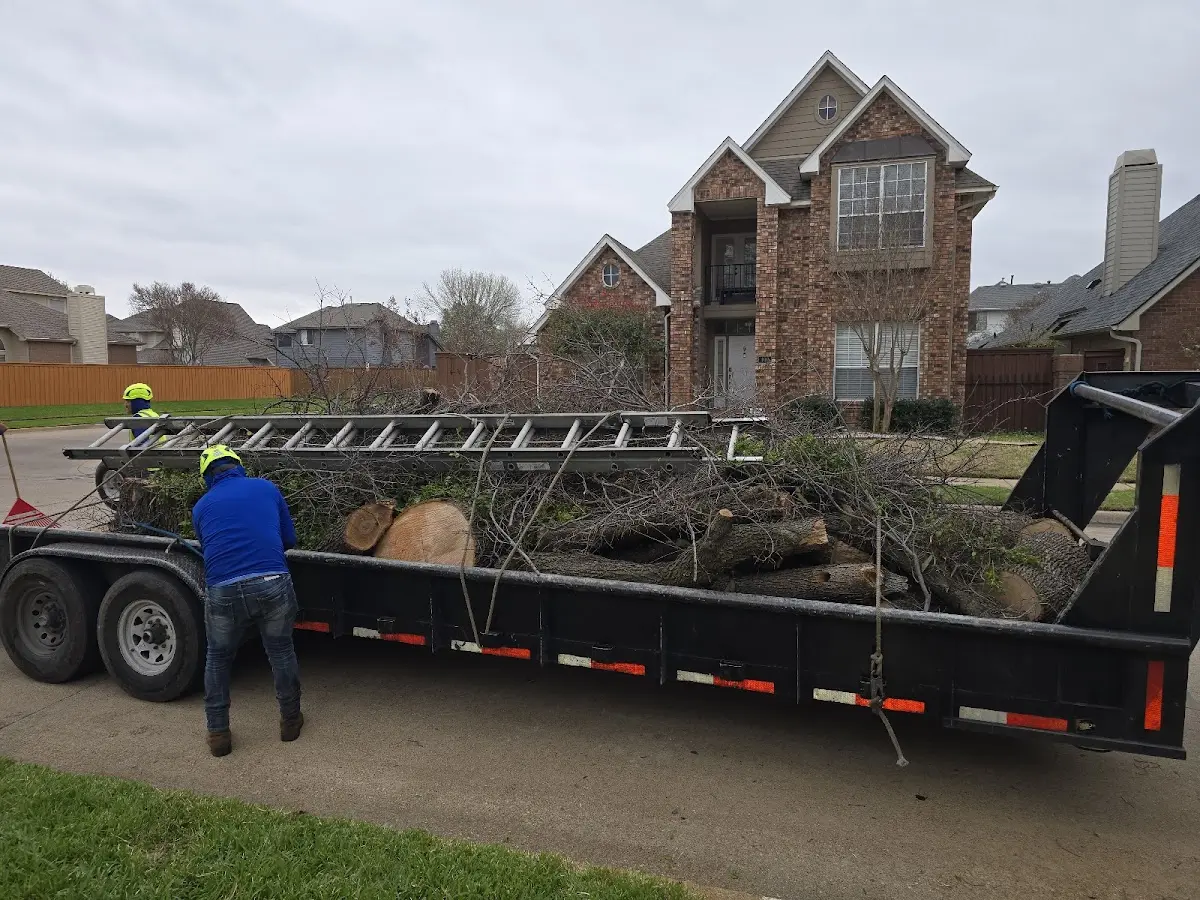 Expert Tree Fertilization with proper safety equipment in Dothan